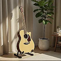 Aurora Acoustic Guitar