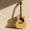 Aurora Acoustic Guitar