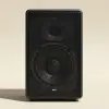 StageTrail Monitor Wedge